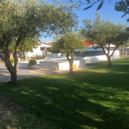 阿格罗波利 Il Platano Residenza Rurale旅馆 外观 照片